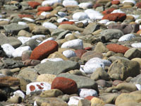 bricks from Presley Martin's "Earth-Kiln-Bay-Kiln-Bay"